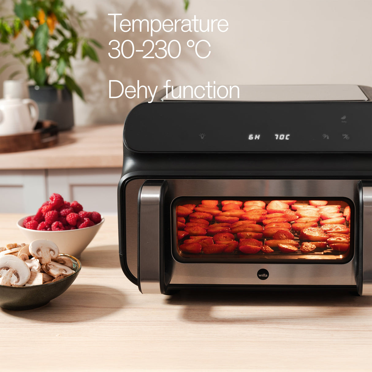 Dualfry Grill 10l (4)