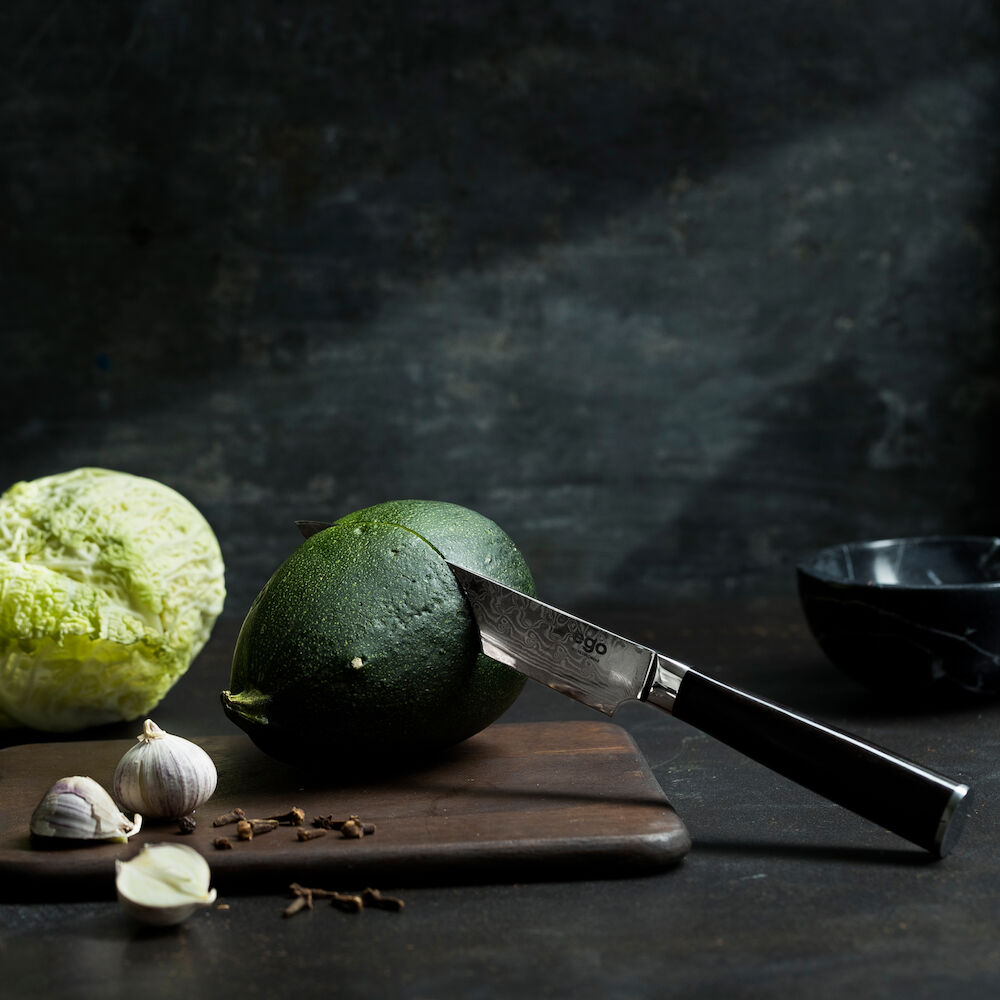 Universalkniv EGO VG-10