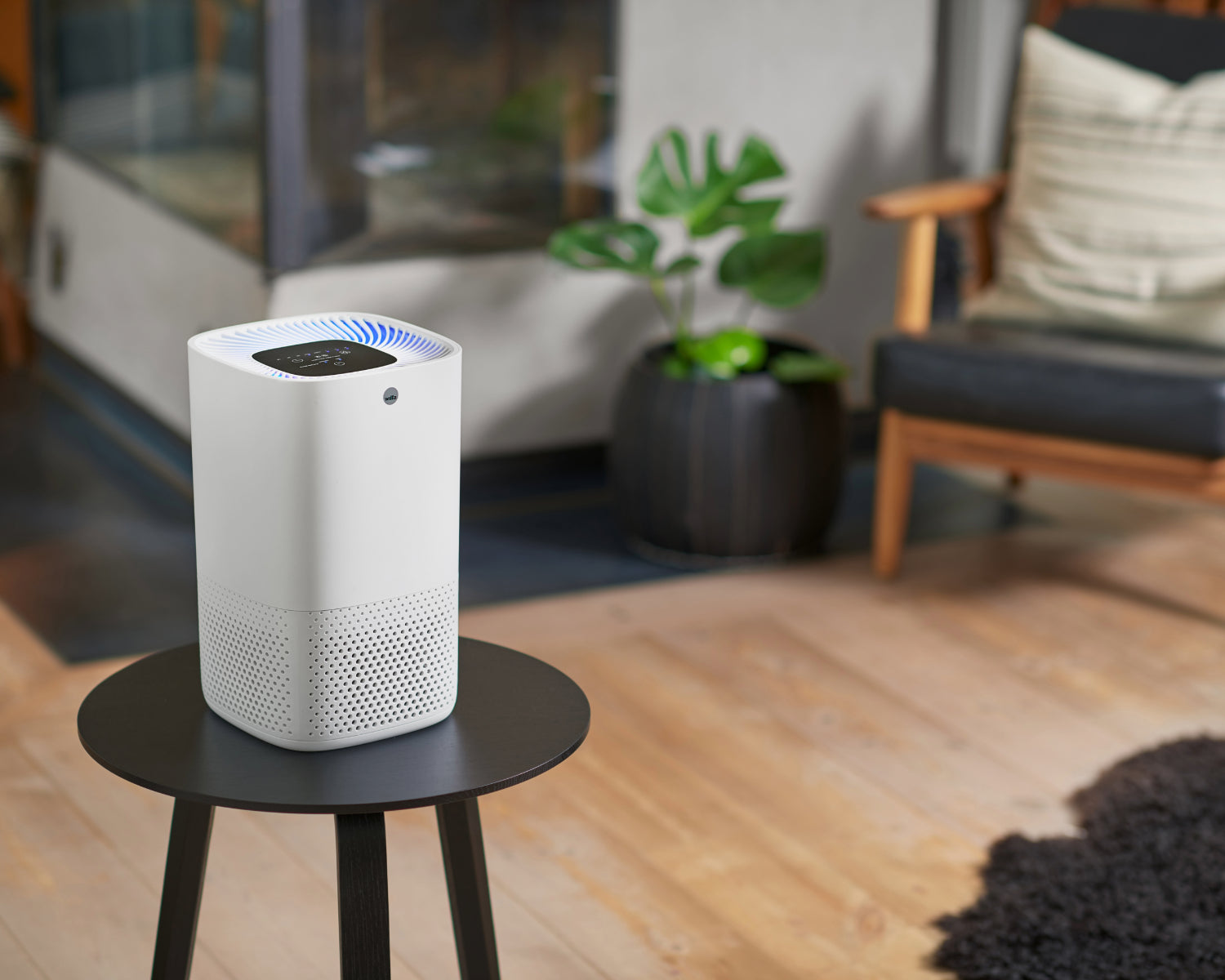 Your indoor air might be worse than you think. An air purifier could become your new everyday hero