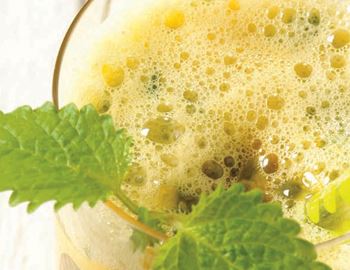 Yellow morning glory smoothie in a glass garnished with lemon balm
