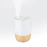 Nature humidifier
