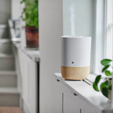 Nature humidifier