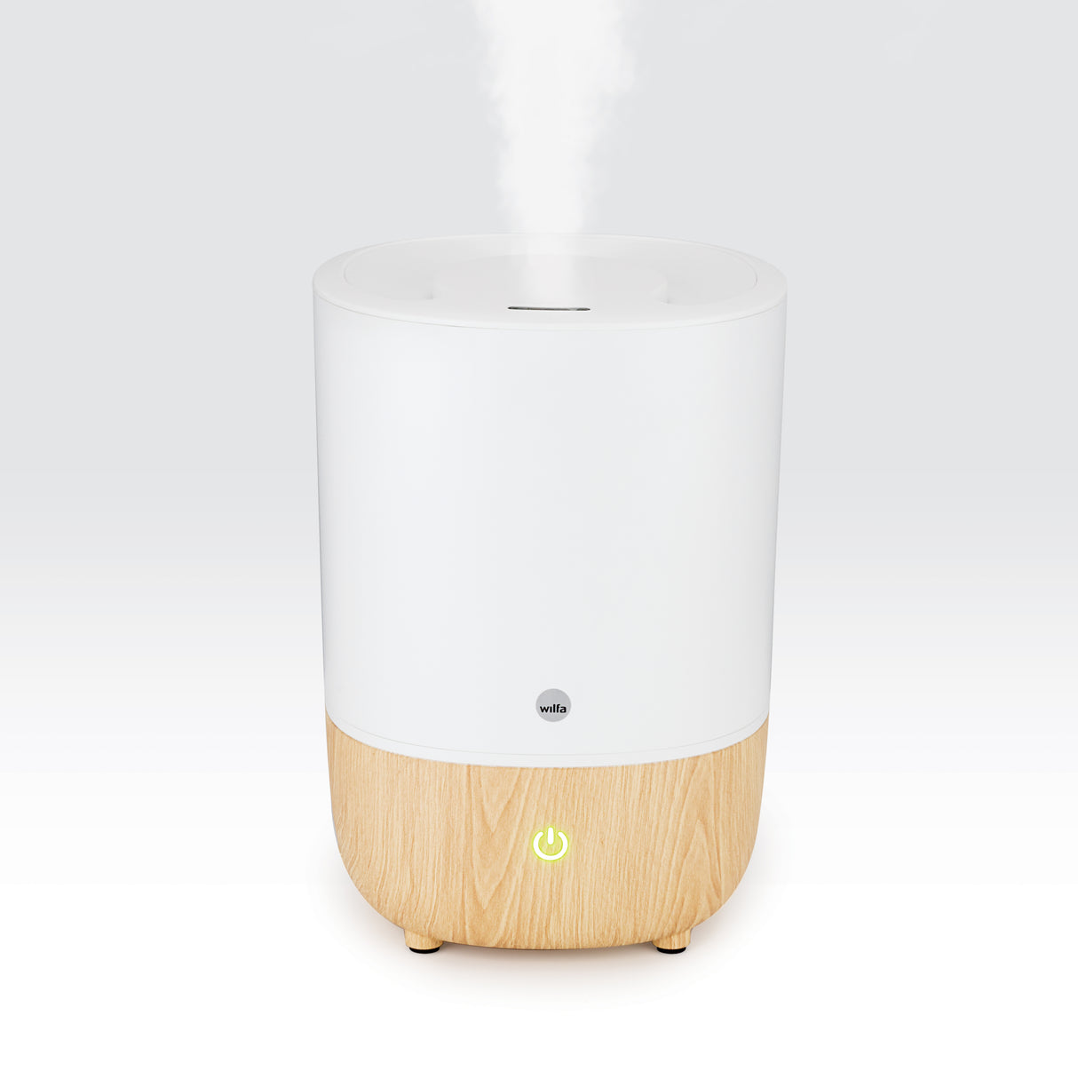 Nature humidifier