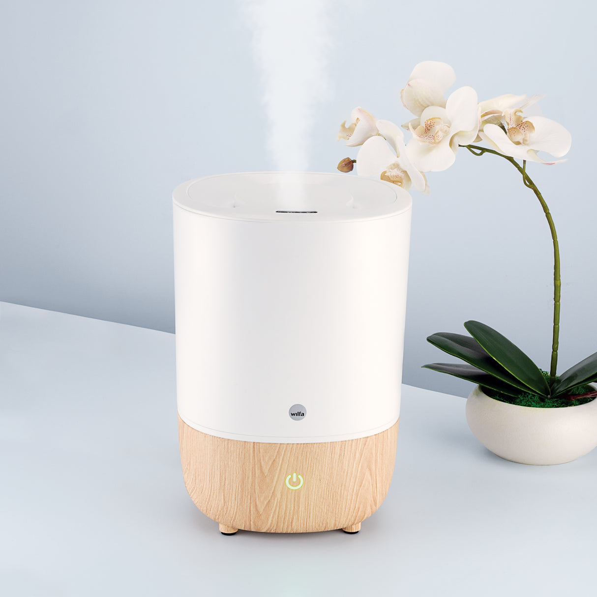 Nature humidifier